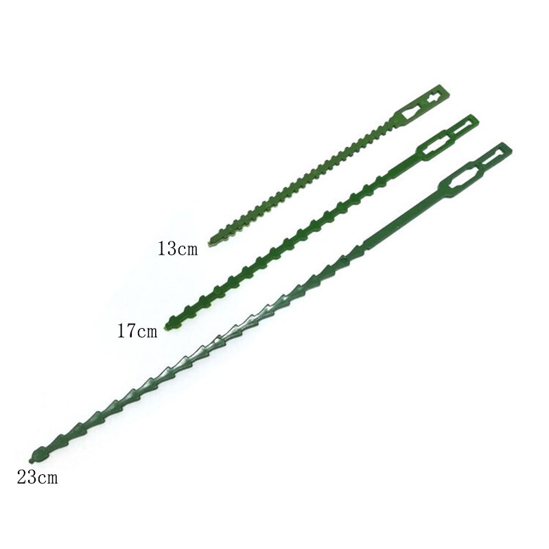 Tree Ties Adjustable Plant Ties Garden Ties Flexible Plant Cable Ties for Supporting Rose Shrub Plants Tree Strapping 50/100pcs