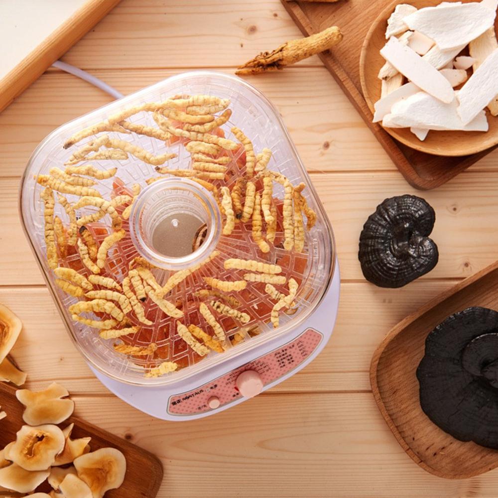 Mad dehydrator frugt grøntsager krydderurter kød tørretumbler kæledyr snacks mad tørretumbler med 5 bakker 220v pink hvid