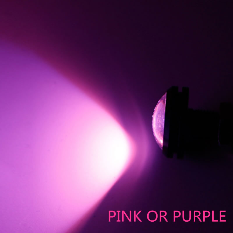 1 pari led veneen pistoke valo garboard messinki viemäri 3/4 " npt meren vedenalainen kala ulkovalaistus: Pinkki tai violetti