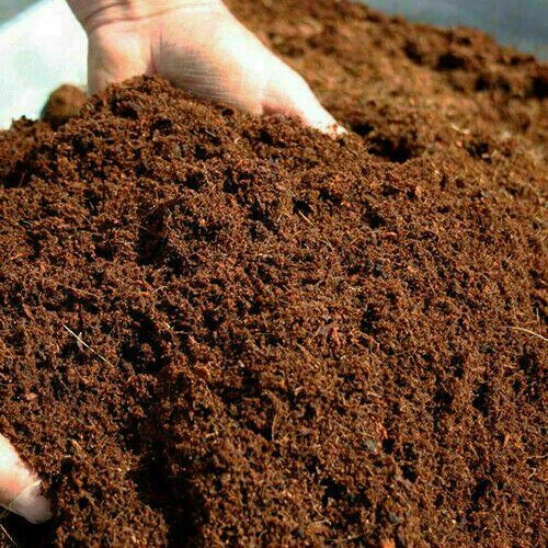 100% Organique naturel de Coco Coco Tourbe Compost De Culture Hydroponique Media-100g