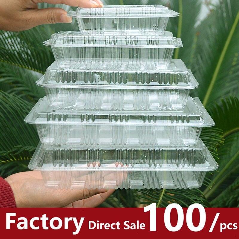100Pack Disposable Clear Plastic Containers Transparent Box for Dessert Fruit Cake Salad Sandwiches Take Out Box