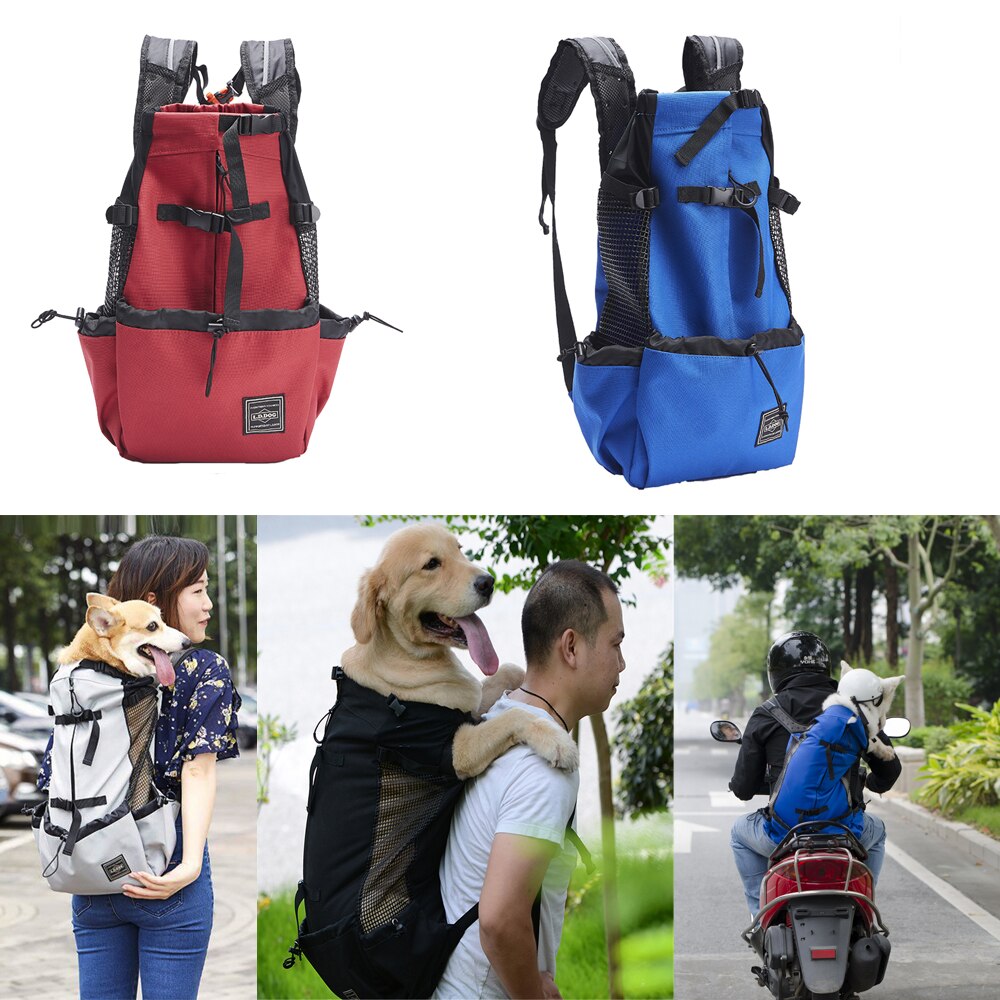 motos sacs à dos pour animaux de compagnie voyage moto sac pour animaux de compagnie adapté aux chats chiens animaux de compagnie