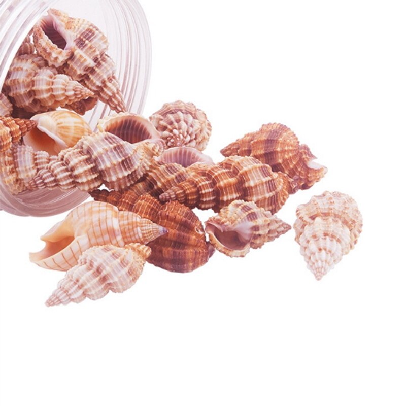 Ongeveer 40-50 Stukken Van Kleine Zee Schelpen, Spiraal Schelpen, Shell Craft Accessoires, geschikt Voor Kaars Maken, Strand Thema Party Wedd