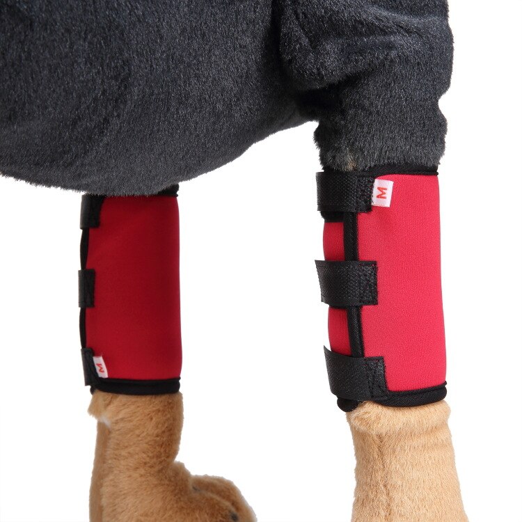 2 Stck Haustier Ellenbogen Schutz Hund der Erholen Hinterbeine Unterstützung befestigen Knie Pads Hund Schutz Chirurgie Wunde wickeln Schützt