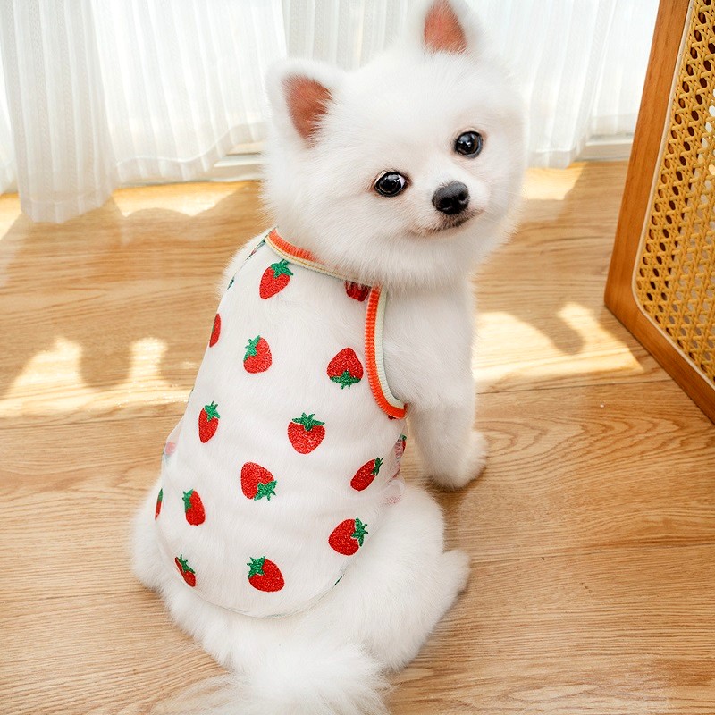 Chaleco refrescante para perros, camiseta de malla con estampado de fresa y puntos de verano, ropa para cachorros, disfraz de Chihuahua pequeño, tirantes para gatos 2025