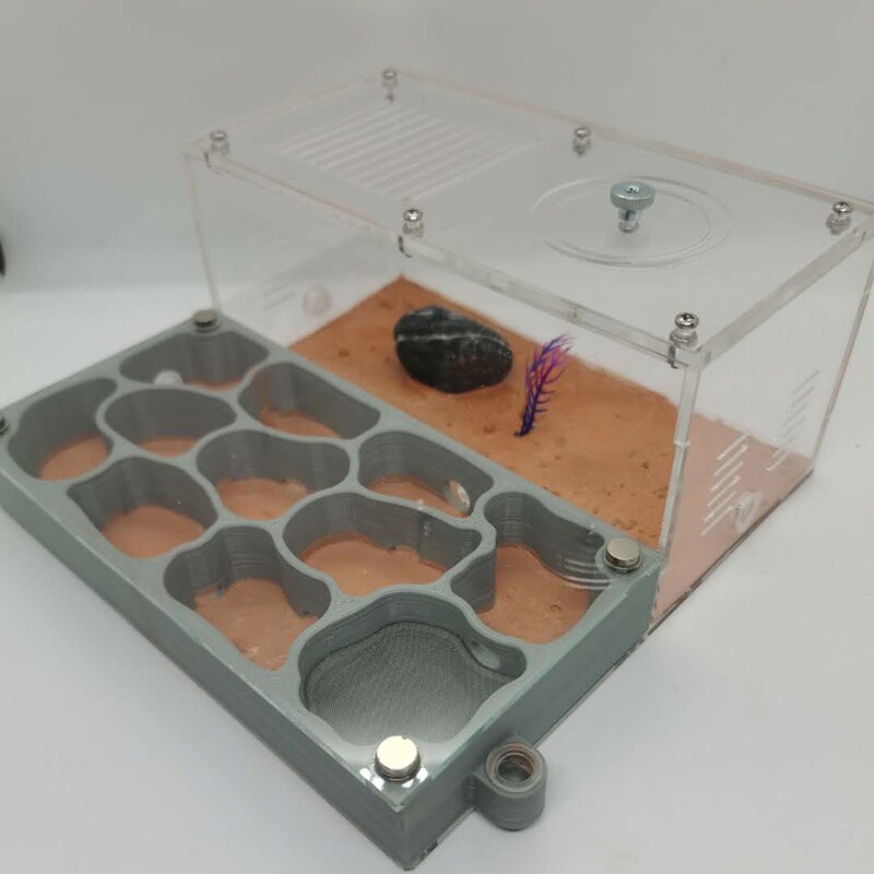 Large Size Ant Farm 3D Printing Flat Ant Nest Acrylic Activity Area Ant Workshop Castle Ant Nest With Shading Board 18x18x6.5cm: D-1