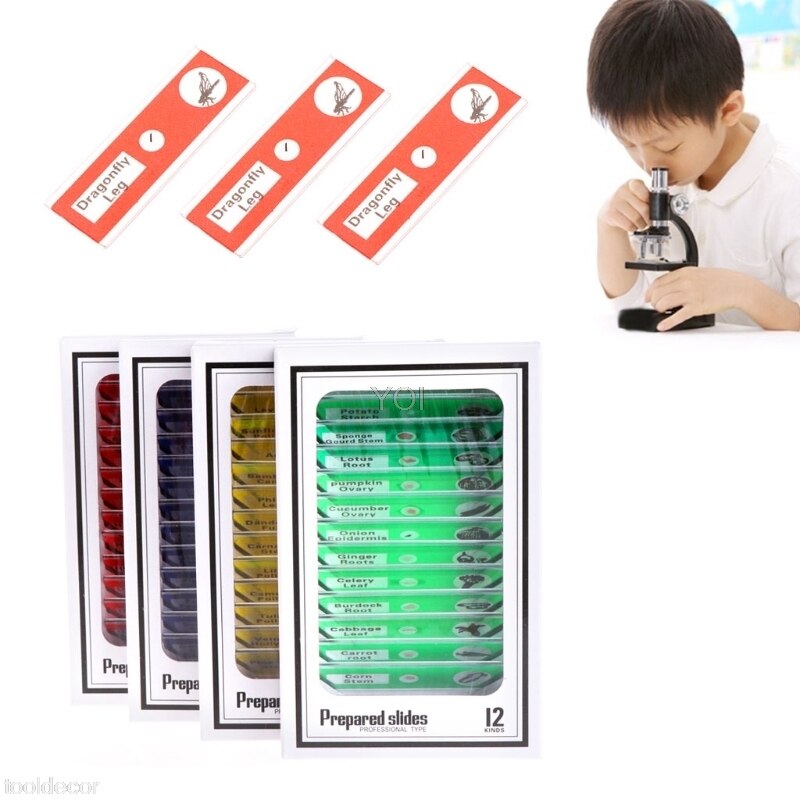 12 Pcs Prepared Microscope Slides Set Specimen For Student Basic Biology Education