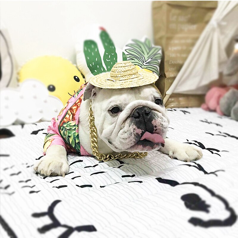 [mpk butik] ananas-t-shirt til franske bulldogs, sød fancy hundedragt, fritidstøj til hunde