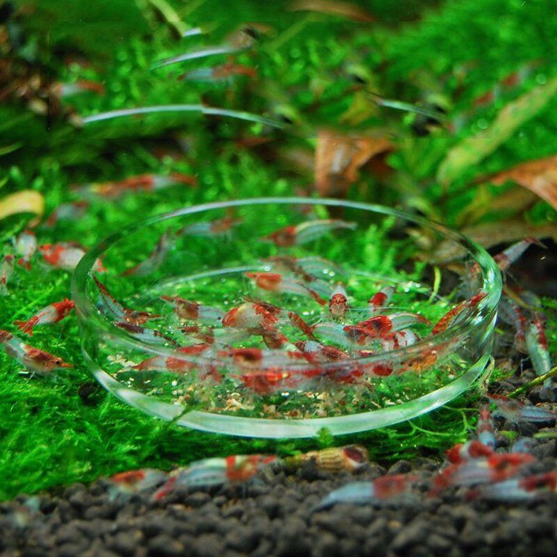 Glass Aquarium Feeder Tube Dish Shrimp Fish Snail Sunk Food Dispenser Feeding Tube Bowl Aquarium Accessories