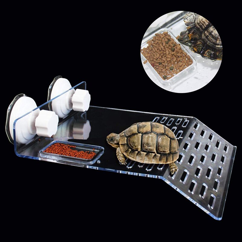 Turtle Platform Turtle Tank Platform Aquarium Animal Transparent Water Tank Dock Reptile Habitat Rock Climbing Frame