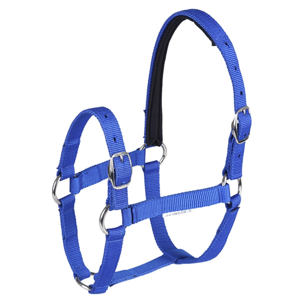Horse Head Collar Adjustable Riding Safety Halter Belts Equestrian Equipment Riding Racing Equipment Training Rope: XS-Blue