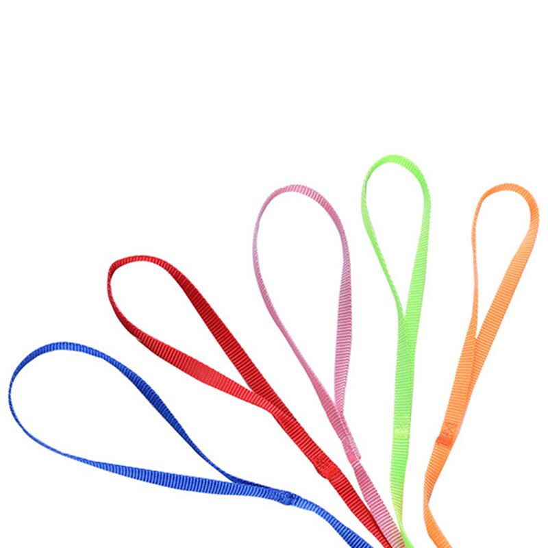 Harness And Leash For Birds Parrot Cockatiel Parakeet Conure Macaw Training Rope 5 Colors