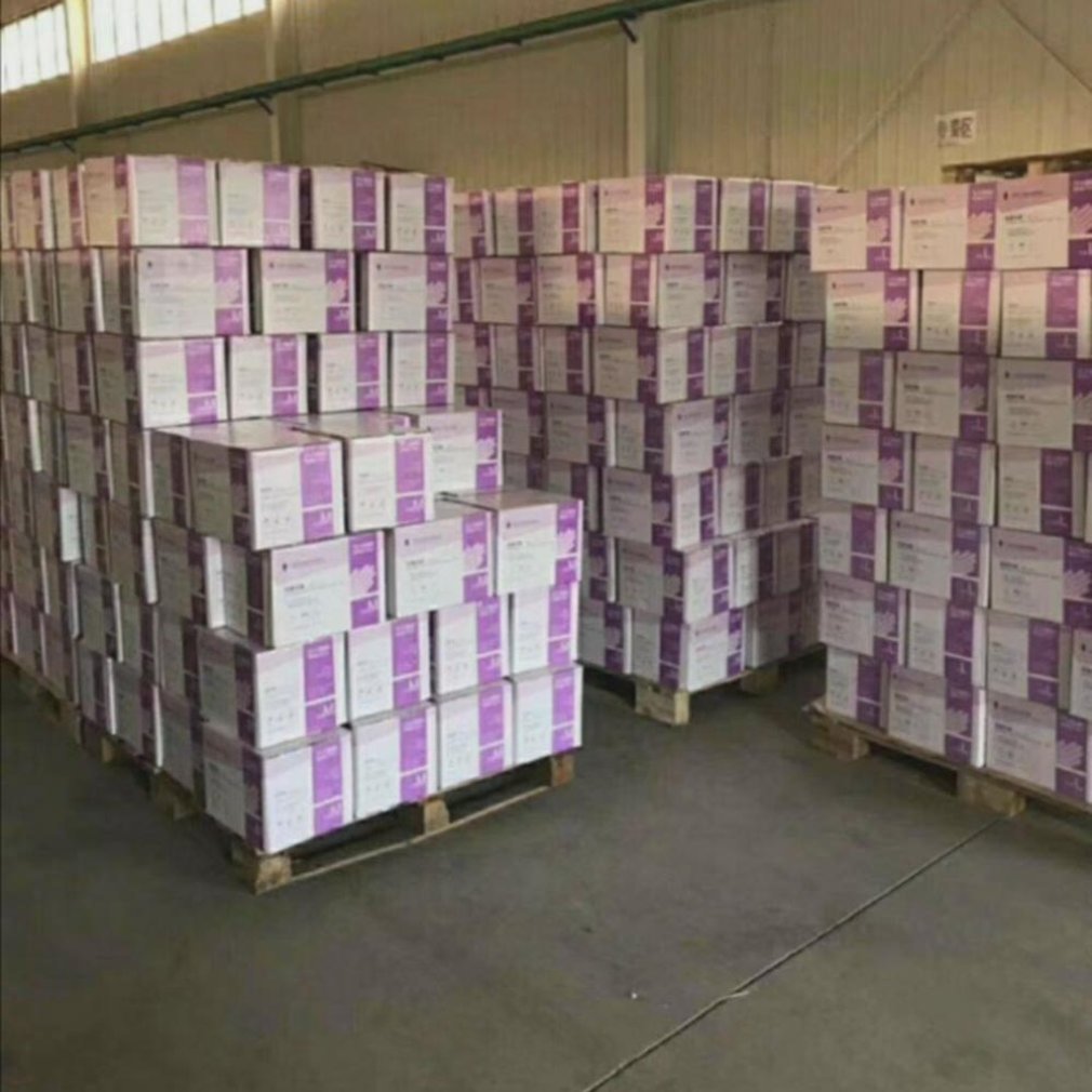 Boxed Disposable Gloves Protective Pvc Gloves Transparent Thickening Aesthetic Grade Anti-Static Gloves