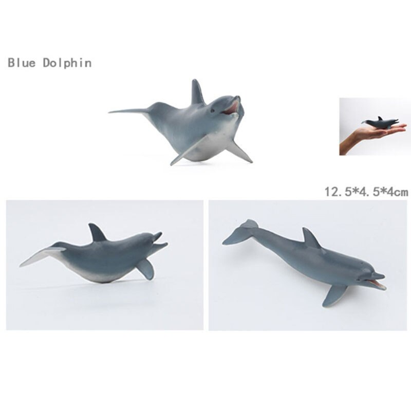 Educational toys for children simulated animal ocean great white shark seabed creatures girls toys for kids school learning: Blue Dolphin