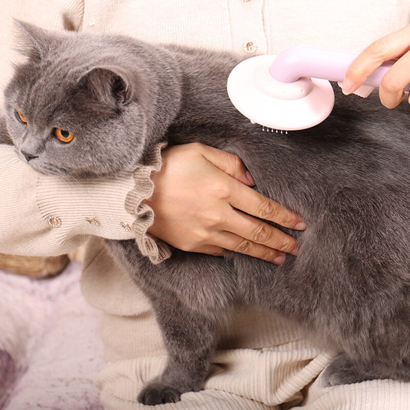 Huisdieren Zelfreinigende Slicker Borstel Voor Hond En Kat Verwijdert Huisdier Haar Kam Ondervacht Tangled Haar Massages Deeltje Beauty Producten