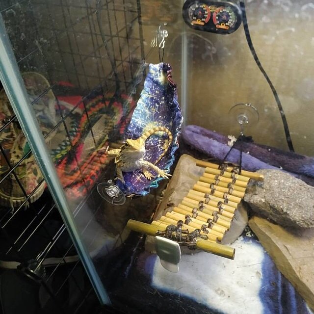 Leopard Gecko Hammock Lizard Hammock Bearded Dragon Hammock Small Pet Hammcok Gecko Bed