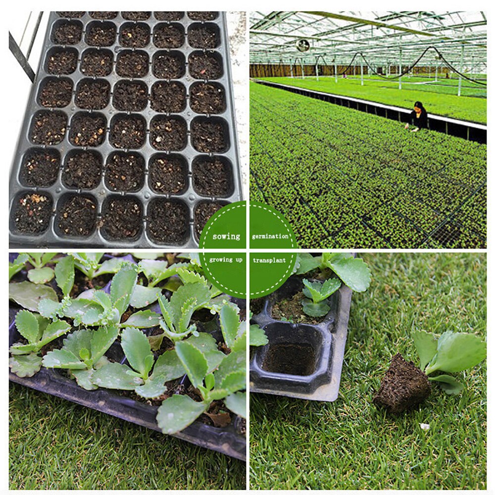 Lote de 3 unidades de macetas de PVC para vivero, bandeja de iniciación de semillas de celda de plástico para la siembra de plantas de semillero, germinación
