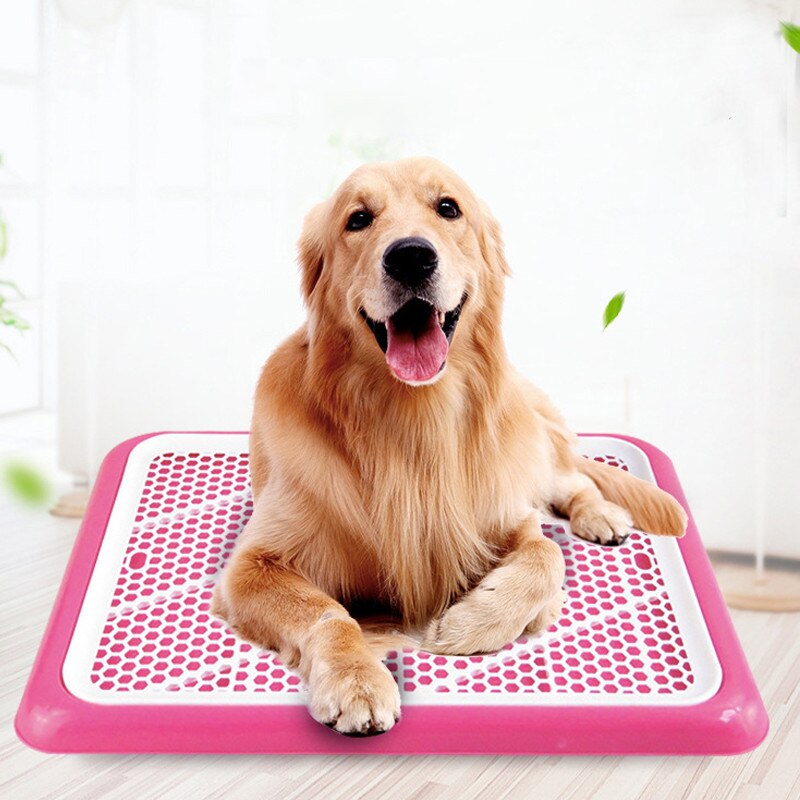 Rooster Hond Zindelijkheidstraining Wc Indoor Hond Potje Lade Pet Training Toilet Voor Grote Kleine Hond Puppy Potje Kattenbakvulling doos