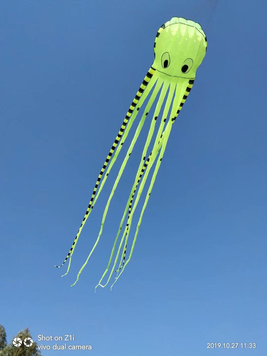 Cerf-volant en forme de poulpe 3D pour enfants, avec poignée, gonflable, 8m, avec spectacle,