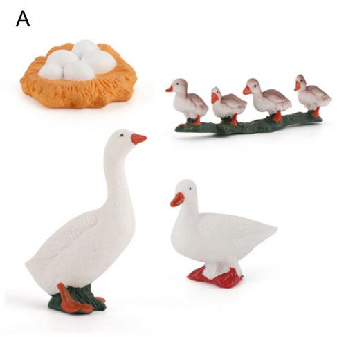 Kip Eend Gans Zwaan Groei Cyclus Simulatie Gevogelte Speelgoed Thuis Bureau Ornament Home Desk Ornament Simulatie Gevogelte Speelgoed: A