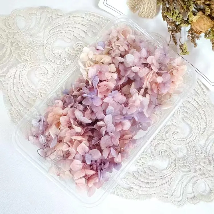 Décalcomanies de fleurs séchées 3D pour Nail Art, autocollants floraux naturels, conceptions de fleurs sèches pour N64.Crafts, accessoires de manucure bricolage: Honeydew