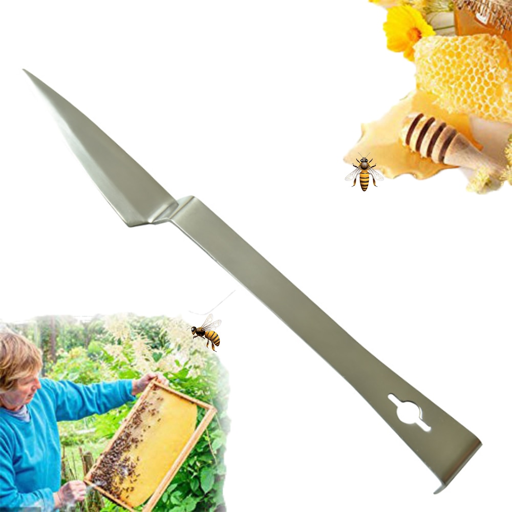 1PCS rvs honing schraper ontzegeld vork mes cutter bijenteelt levert accessoires bijen gereedschap bijenteelt equipement