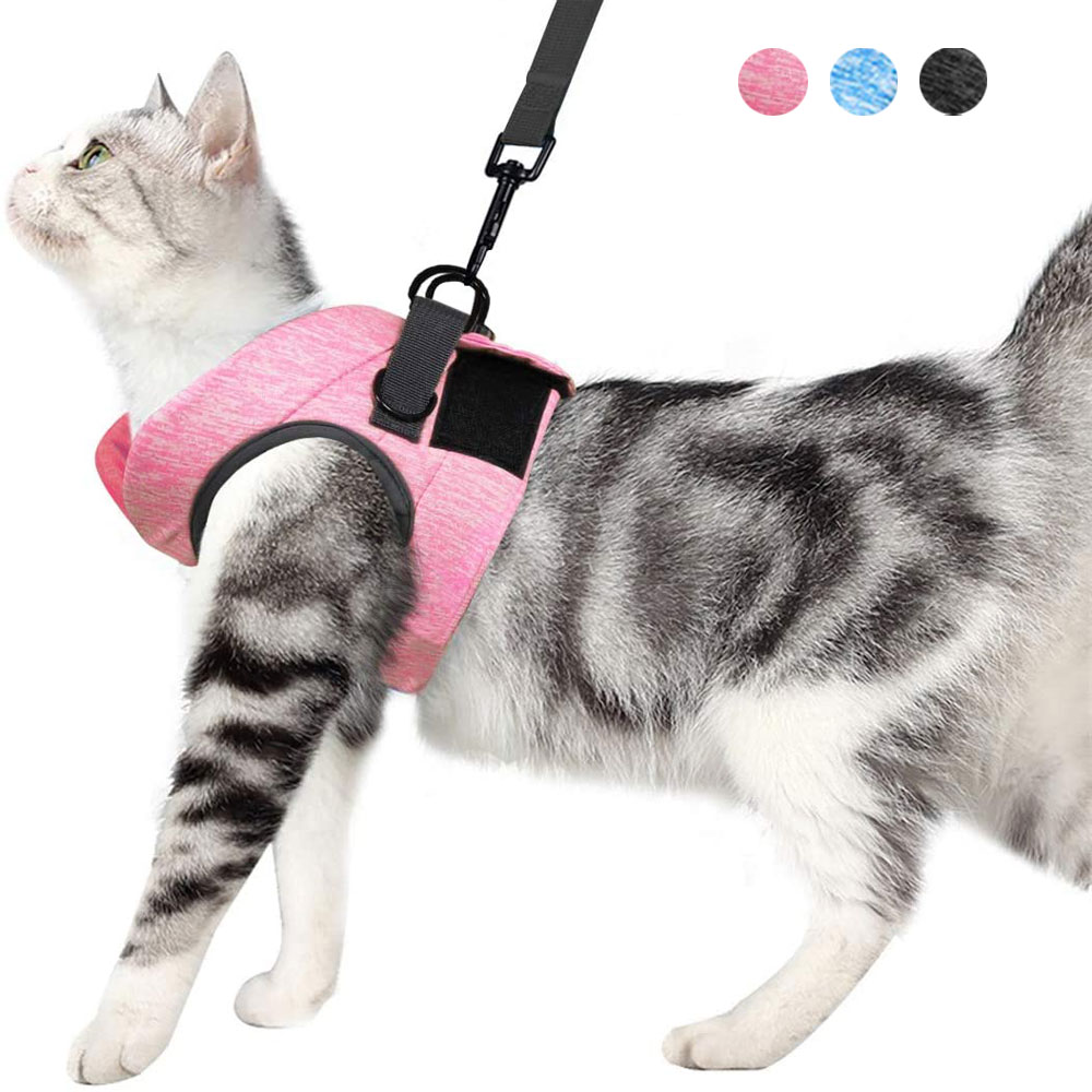 Zestaw uprząż i smycz dla kota robić chodzenia ultralekka kamizelka dla kotów z systemem amortyzacja anty-ucieczka odpowiednia dla szczeniąt króliki