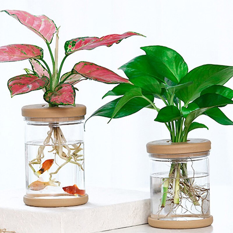 Kasviruukut laiska läpinäkyvä kukkaruukku läpinäkyvä ruukku automaattinen vettä imevä kukkaruukun jäljitelmälasi