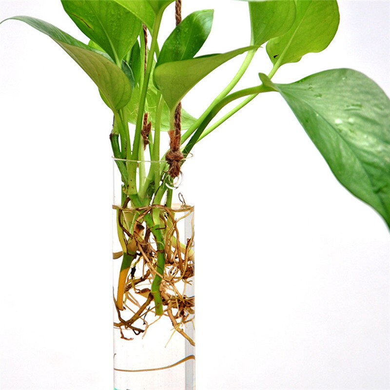 Vase en boule de verre suspendu, pot de fleur, récipient de Terrarium, décoration pour fête et mariage