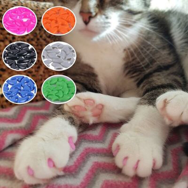 Protectores de silicona para uñas de gato, protectores suaves para uñas de gato, garra de gato, SUMINISTROS DE ASEO, 20 Uds.
