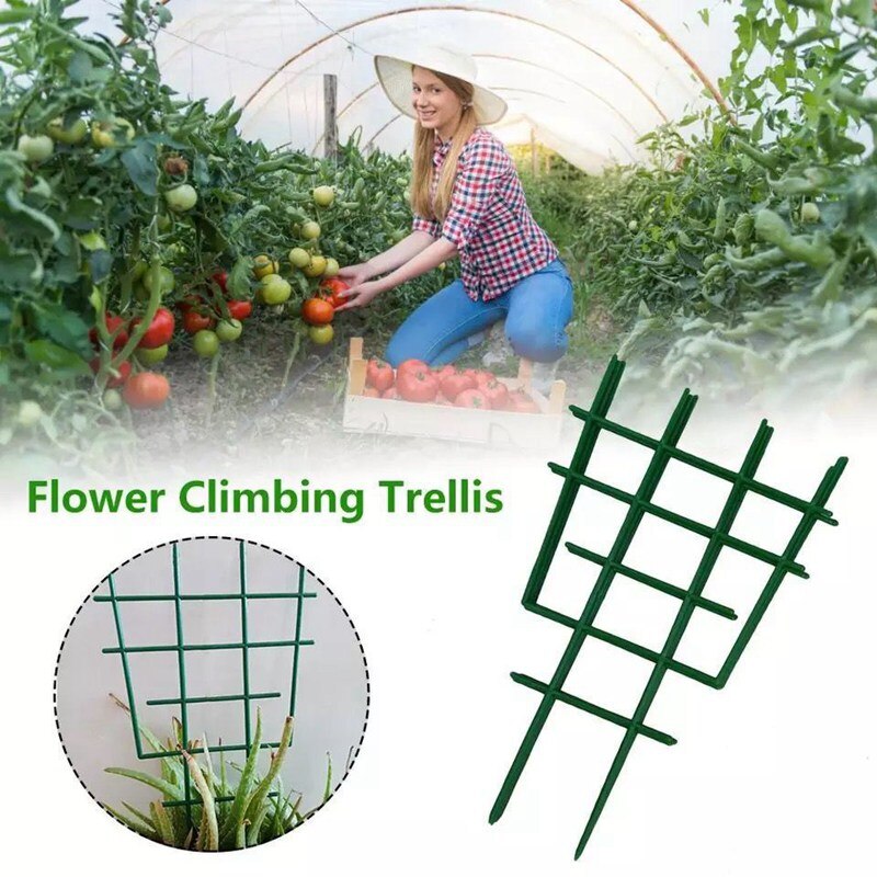 Green Plant Support Holder Garden Plant Vines Wall Hanging Support Climbing Fence Netting Rattan Leaves Branches
