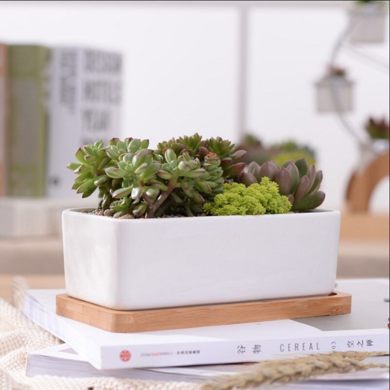 Macetas carnosas de cerámica minimalistas, rectangulares, blancas, para plantas suculentas, de porcelana, para escritorio, decoración del hogar Zakka
