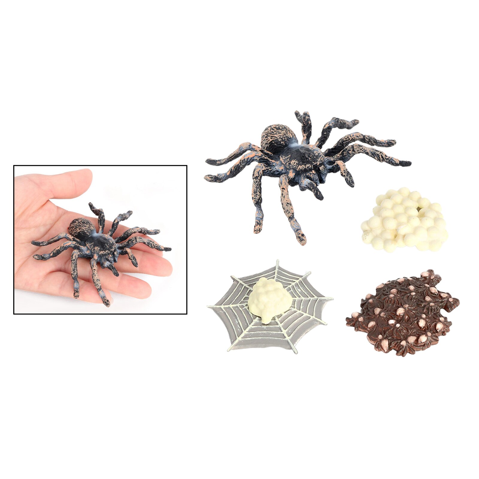 4 Pieces Nature Giant Whiteknee Spider Growth Toy Animal Growth