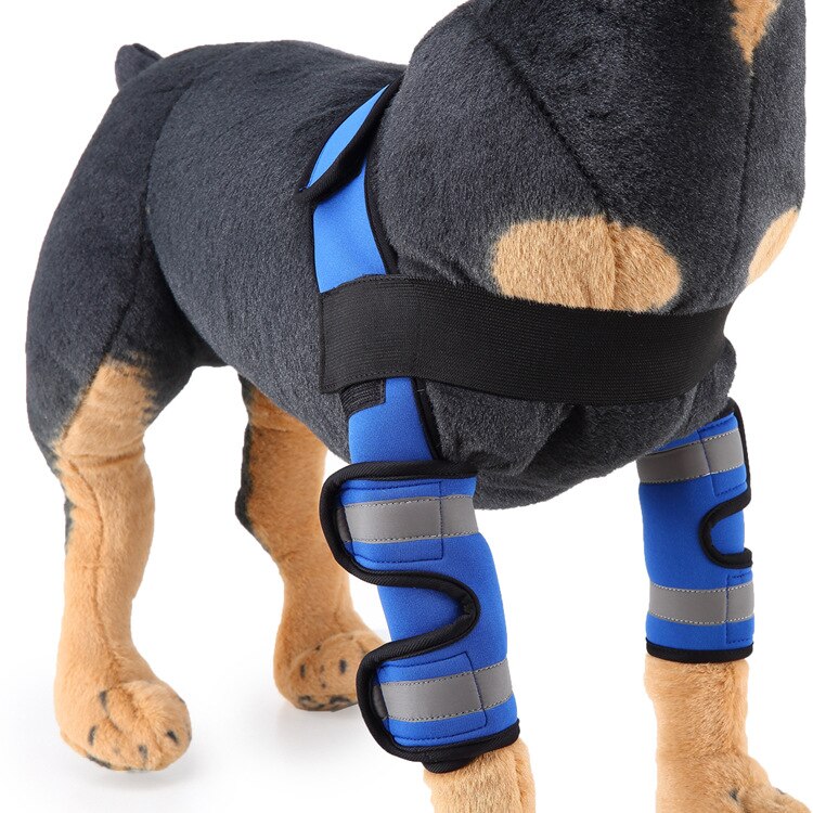 Pet Guards Knee Guards Dog Leg Guards Pet Supplies Dog Surgery Injury Protective Cover: L / Fluorescent blue