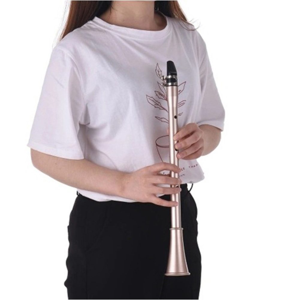 Pocket Saxofoon Abs Sax Little Saxofoon Mini Draagbare Saxofoon Met Draagtas Houtblazers Instrument
