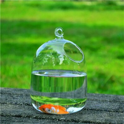 Klar PETFORU 15cm Höhe Hängen Glas Aquarium Fisch Schüssel Fisch Tank Blume Pflanze Vase mit 23cm Höhe Weiß rack Fishbowls: a glass bottle