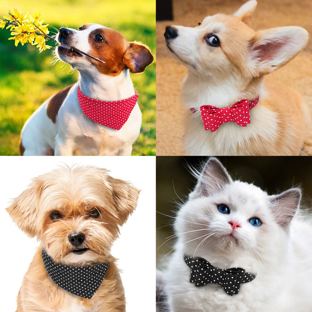 Collier en cuir pour chiens, Bandana, laisse de marche pour chiens, mignon à points, avec nœud pour chats, laisse en plomb pour petits et moyens chiots, Chihuahua