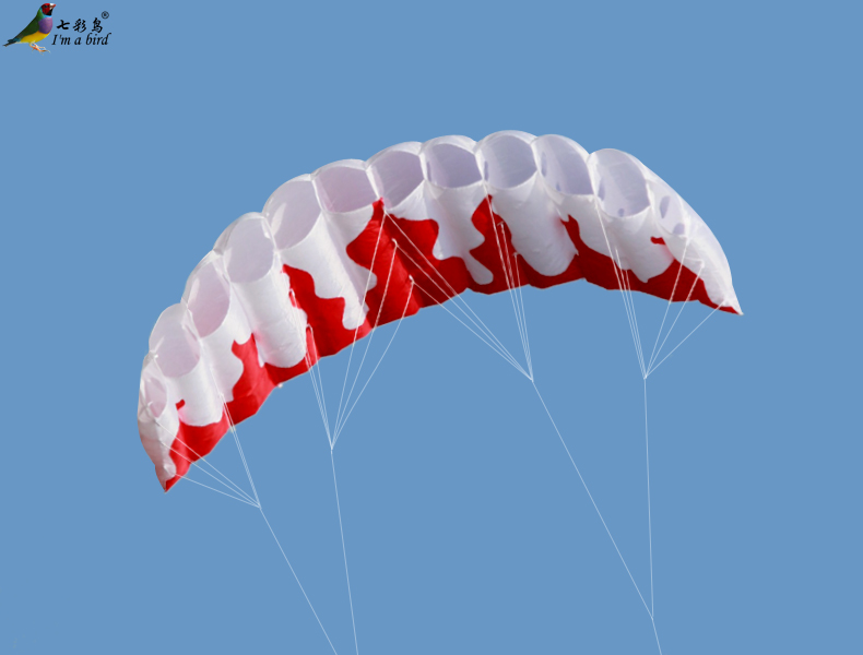Deportes al aire libre, 2m, línea de energía Dual, paracaídas, llama, deportes, cometa de playa para principiantes