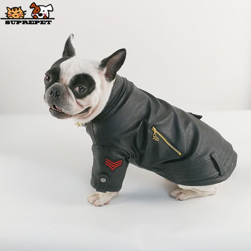 Extreme pet-vêtements pour chiens tendance | Cool, en cuir PU, veste pour chien bouledogue français, vêtements pour chiots, veste de moto manteau pour chiens