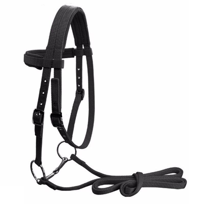 Verstelbare Paardrijden Apparatuur Halter Paard Hoofdstel Met Bit En Rein Riem Voor Paard Paardensport Accessoires Soft Thicken Grote