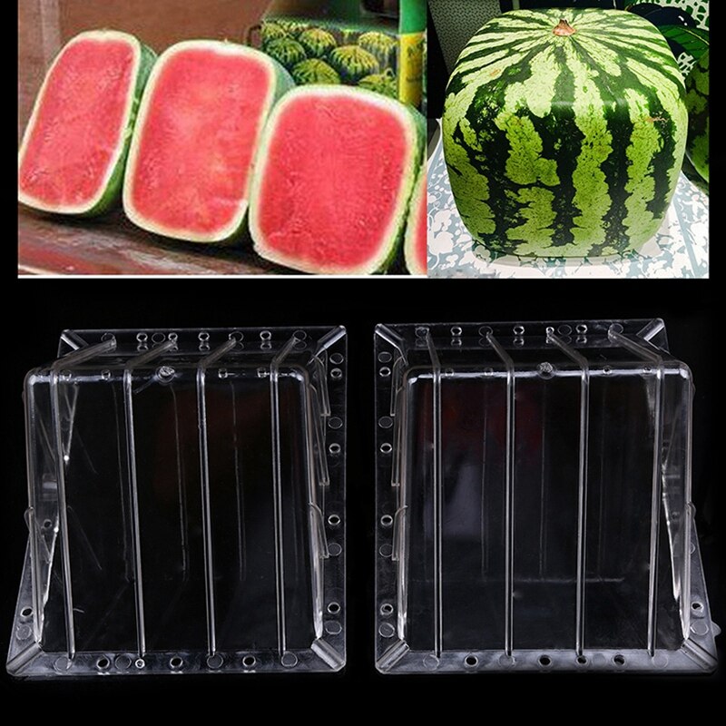 Medium Plastic Vierkante Watermeloen Planten Mold Transparante Fruit Groei Molding Mold