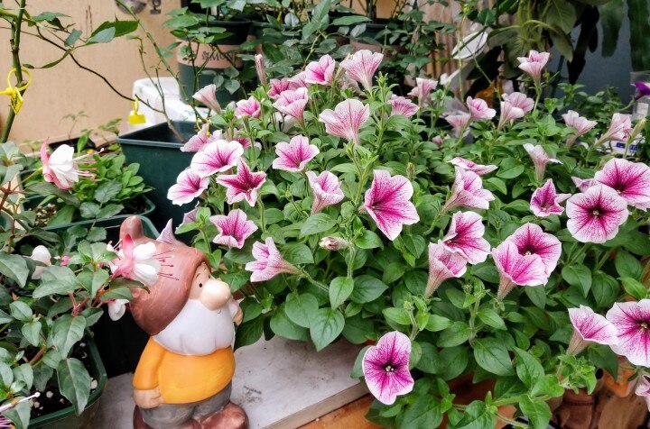 Rolnik człowiek żaba rzeźby ogrodowe roślina doniczkowa dekoracyjne rzeźby kreskówka żaba doniczka dekoracje ceramiczne ogrodnicze wystrój
