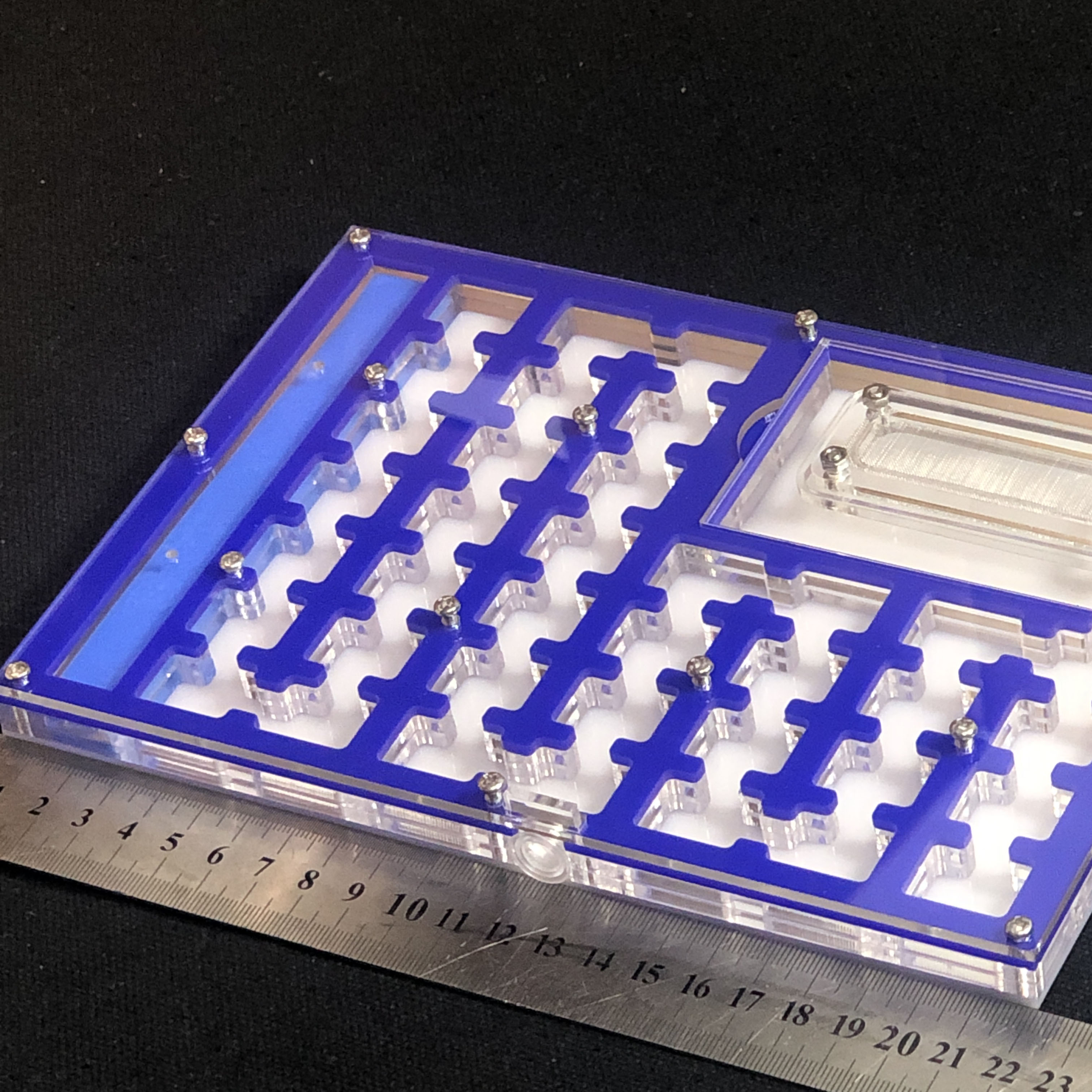 BIG Space Acrylic ant farm maze,Ant Nest with Feeding Area and moisturing zone Ant House for Pet Anthill