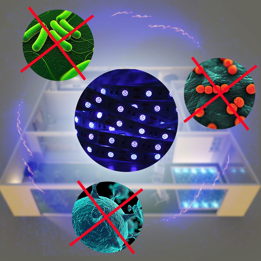 UV Light Disinfection Strip 5m 5050 LED Tape Germicidal Disinfection Light LED Strip Lights 12V for Home Disinfecting Air Clean