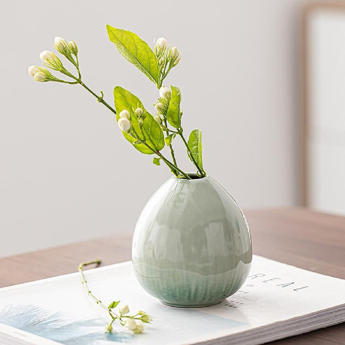 Décoration de vase en céramique Simple, décoration de table à manger de salon, petit vase de plante hydroponique