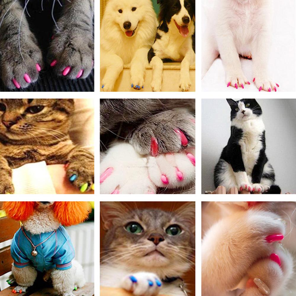 20 unidades de tapas de uñas antiarañazos para perros y gatos, cubiertas suaves de silicona para patas de uñas, decoración de uñas para cachorros, manicura, arte de uñas, suministros para perros y gatos