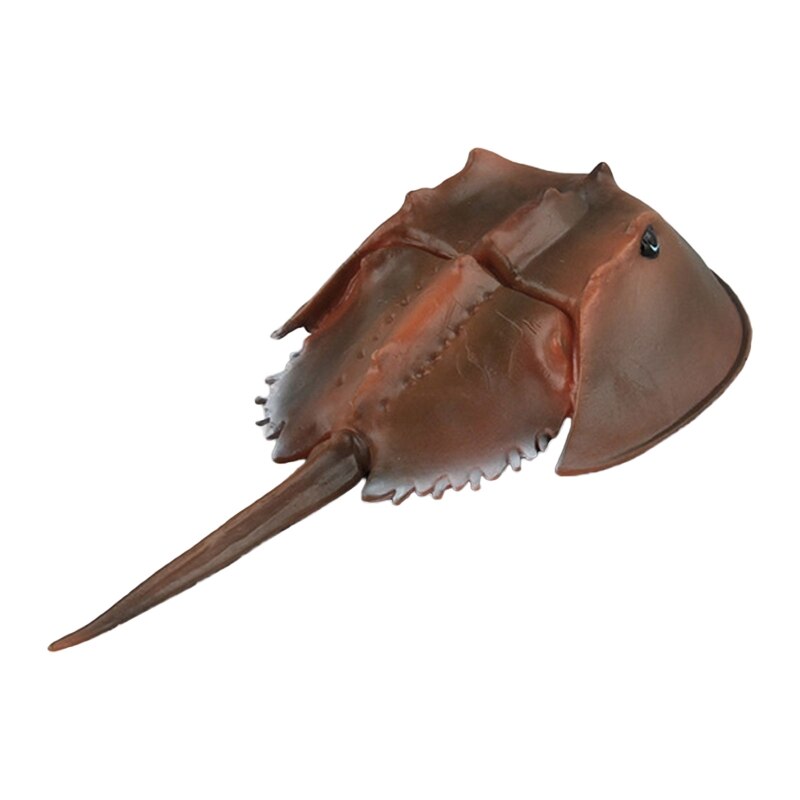 066B 5-7inch Sea Life Fish Animal Statue Model Figurine for House Room Tabletop Decor: horseshoe crab