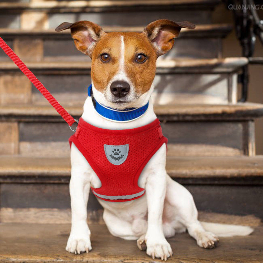 Hund Katze Walking Jacke Harness Leine Haustiere Welpen Kätzchen Kleidung Einstellbare Weste Reflektierende Walking Blei Leine Weste für Welpen