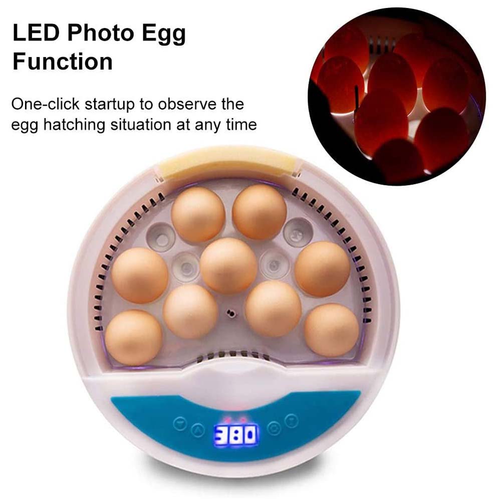 Mini Semi-Automatic Chicken Duck Goose Egg Incubator Led Light Poultry Chicken Bird Incubator Tool Digital Temperature Brooder