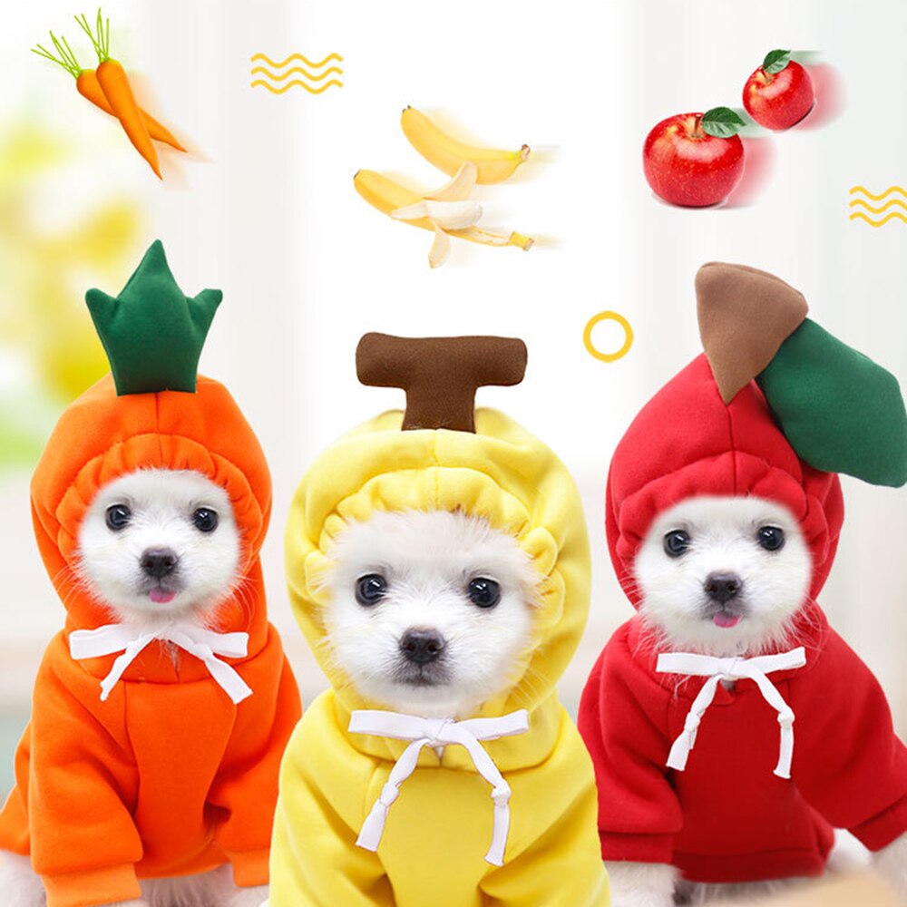 Vêtements Dhiver Pour Animaux De Compagnie, Sweat À Capuche En Peluche Pour Chien Sweat Shirt En Laine Chaude Pour Petit Chien Vêtements Pour Chiot Pour L Automne Et L Hiver G 601099532889867